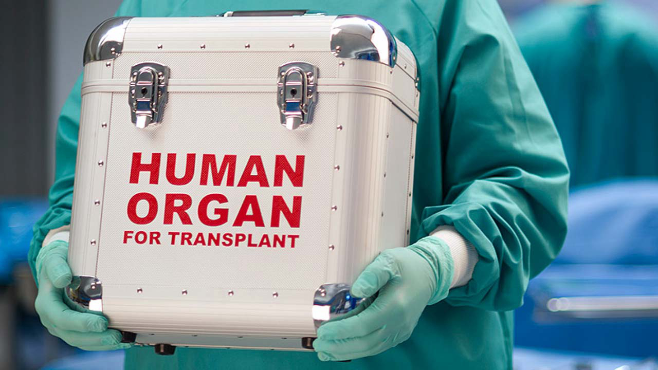 Ugandan Citizens May Soon Receive Organ Transplants Domestically | The African Exponent.