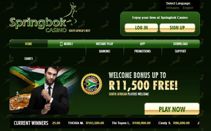 Springbok Casino Voted Best Live Dealer Casino in 2022 | The African Exponent.