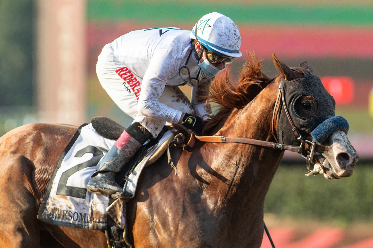 4 Things New Horse Bettors Should Make a Habit | The African Exponent.